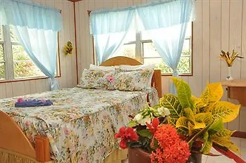 호텔 Oceanic View Exclusive Vacation Cottages Freemans